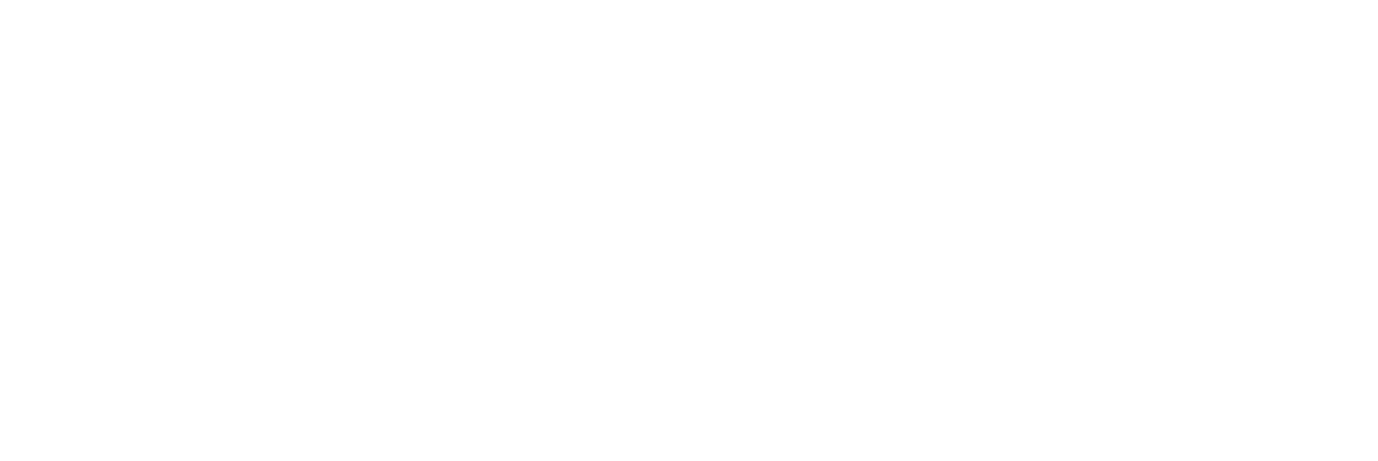 Zoo AI - ERP & AI Automation Platform Logo