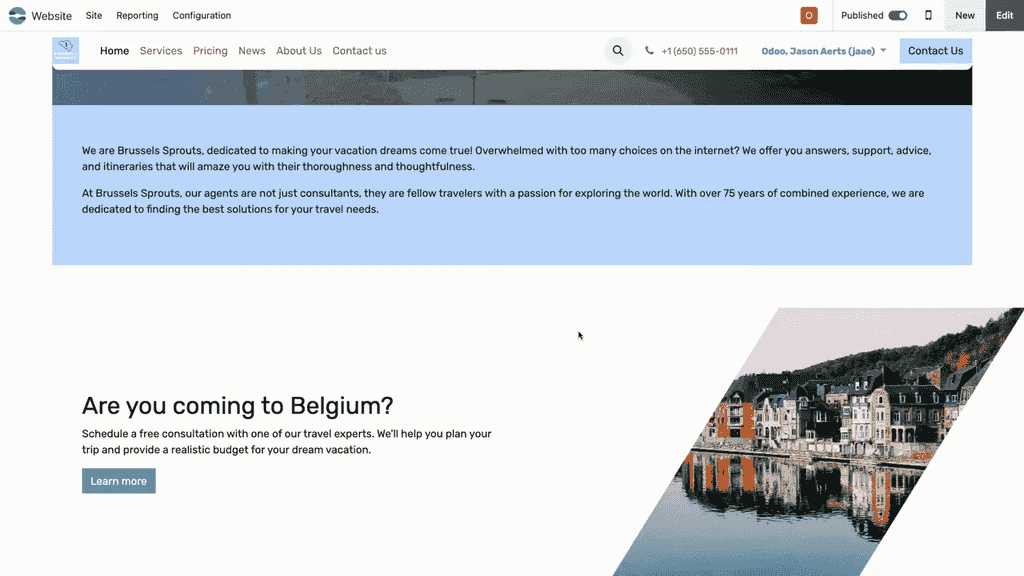 頁面預覽,展示影片播放和滑動動畫的實際效果